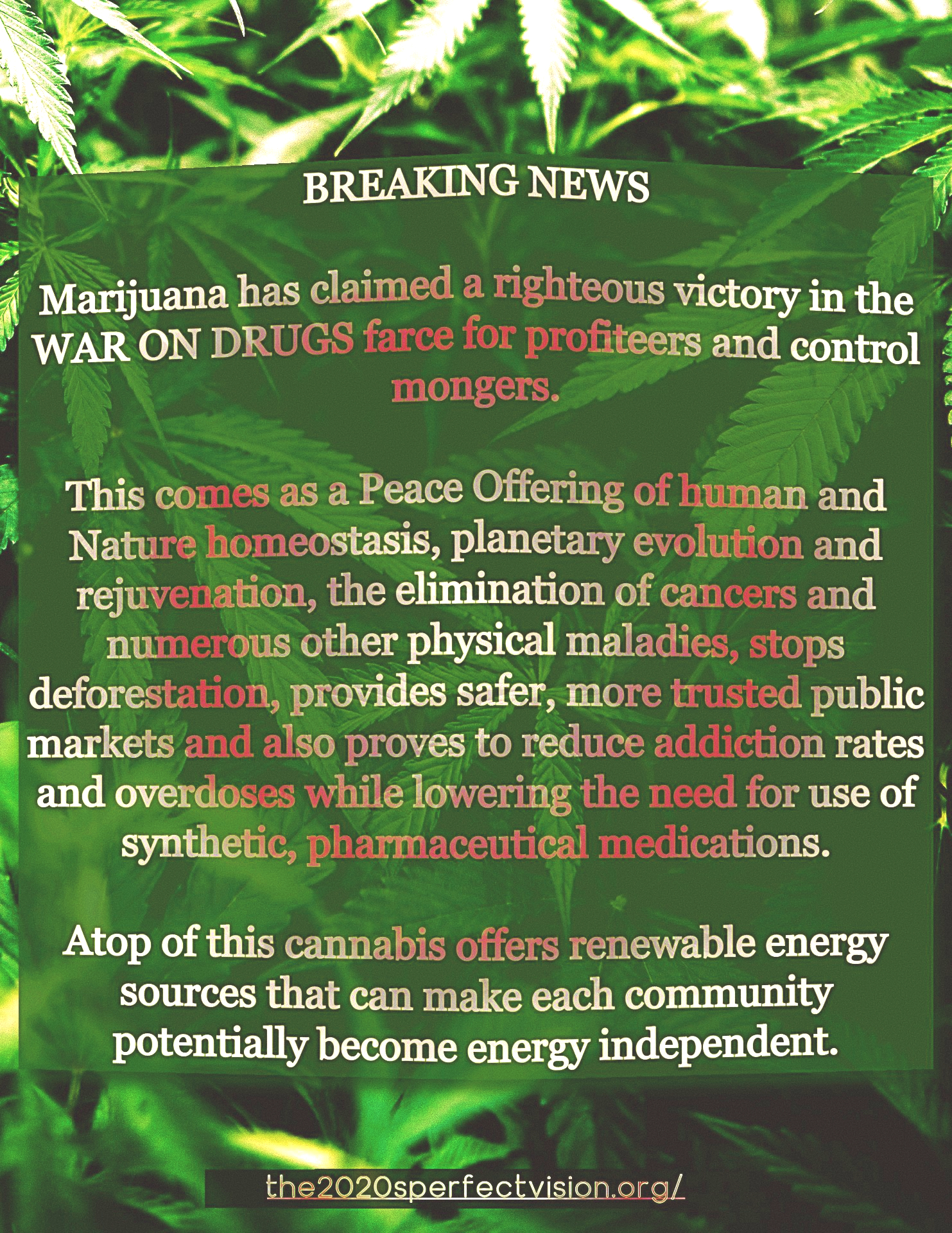 2020s BREAKING NEWS CANNABIS war victory