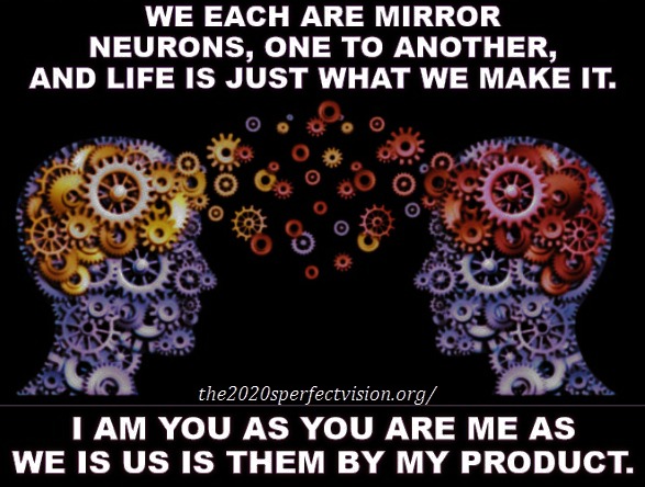 mirror neurons 1 2 an
