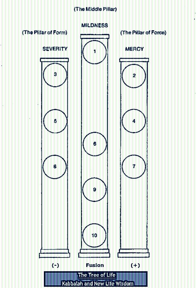 Tree of Life fusion