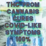 covid is cured by cannabis
