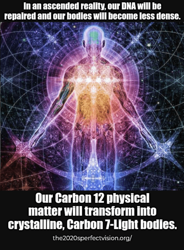 Carbon 7 2020s