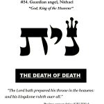nun yud tav