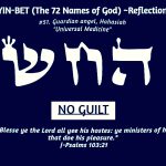 No Guilt 72