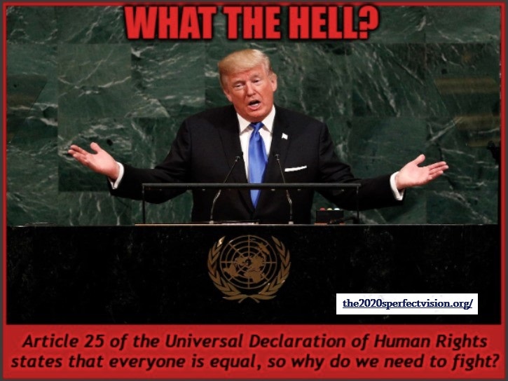 what the hell Trump 2024
