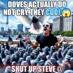 When Doves Cry coo