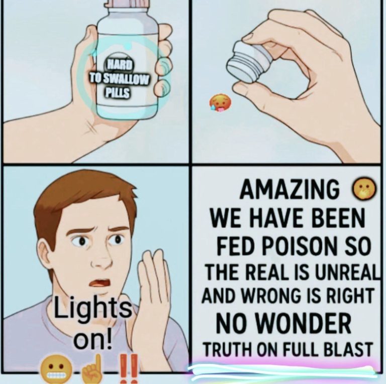 FB_IMG_1759051450959